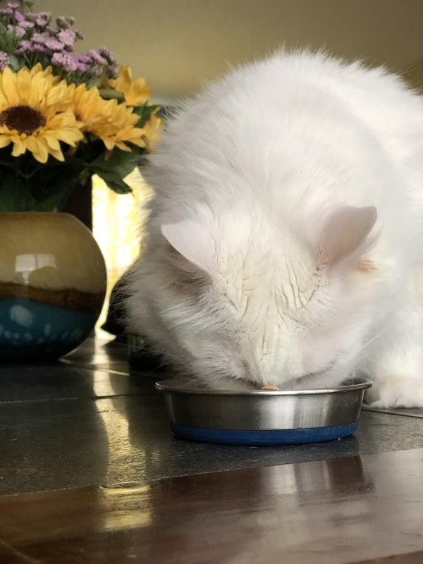 Only time will tell if she will improve but for now seems she’s doing ok