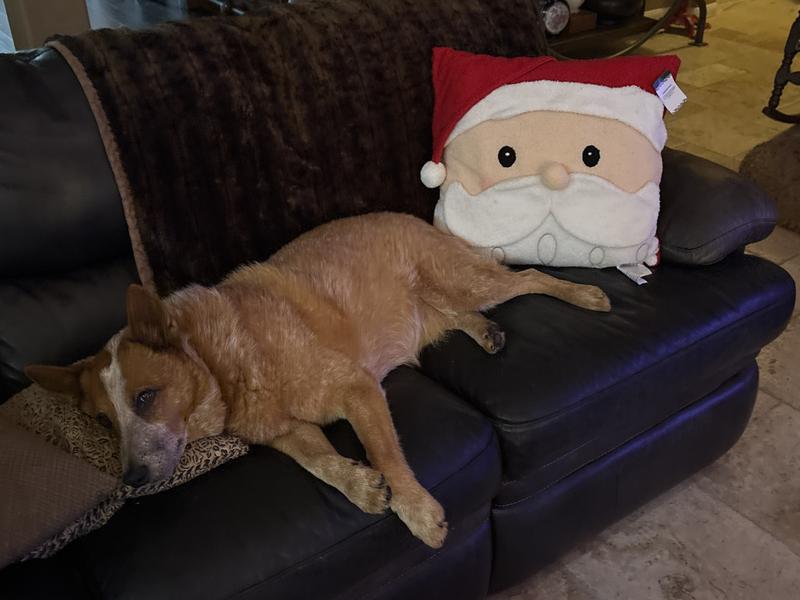 Very Content after “Breakfast Sprinkes”