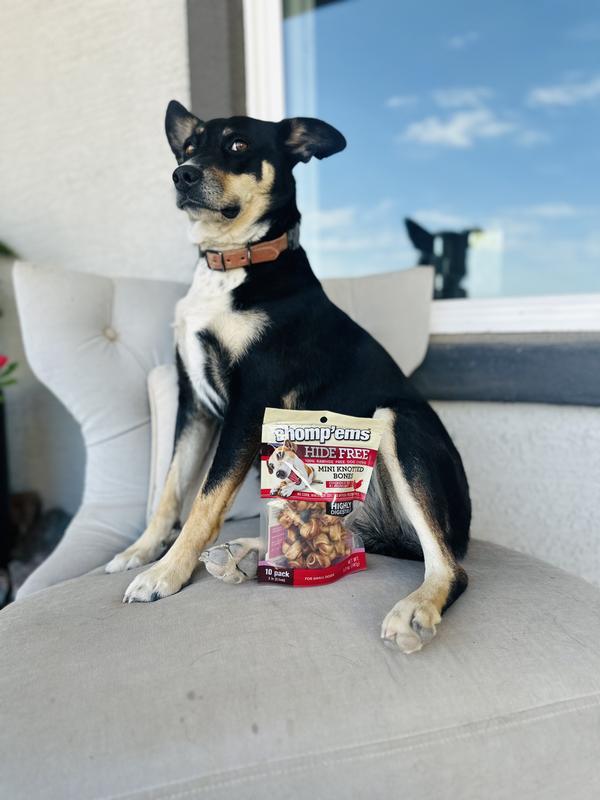 Don’t touch my Chomp’ems…I’m watching you