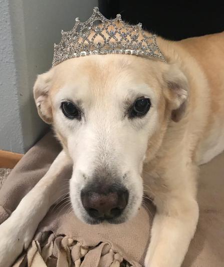 Jackie on her 14th Birthday!