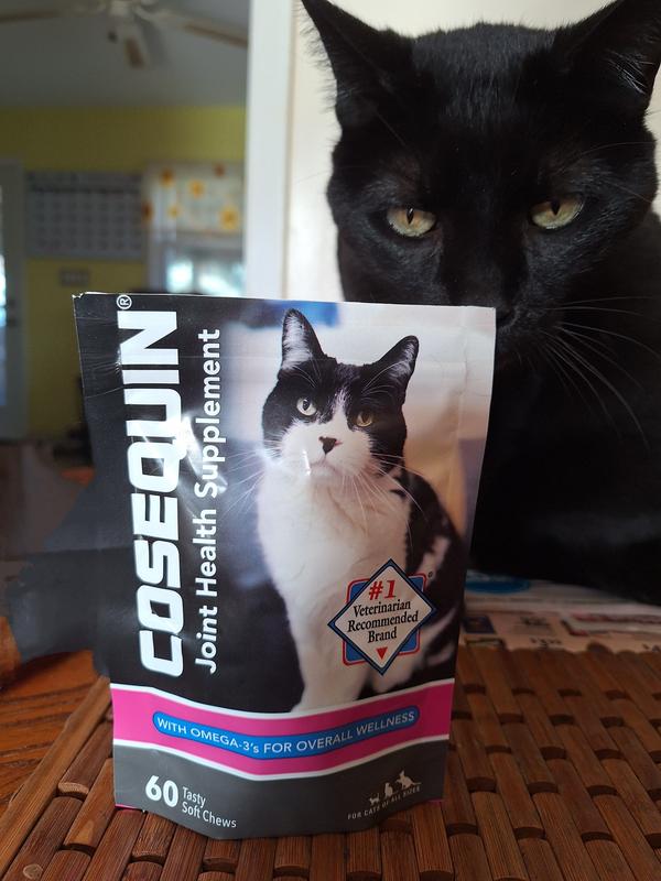 Cosequin soft chews for cats hot sale