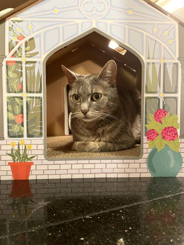 Queen of her Castle
