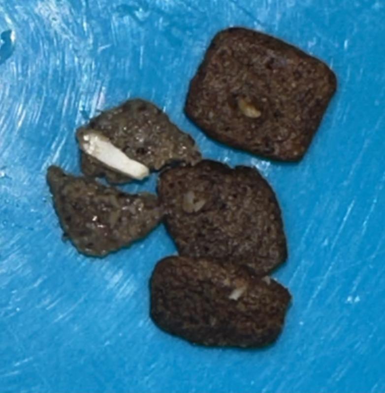 KILLER BONE IN KILLER KIBBLE