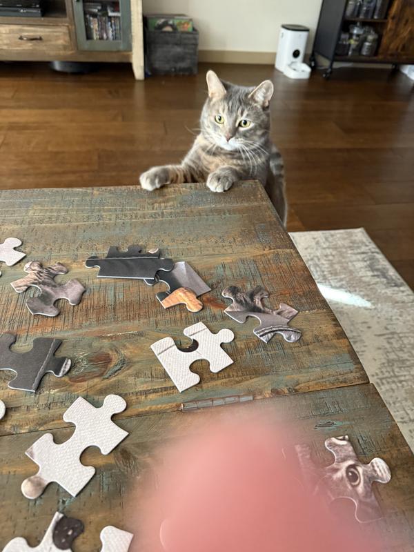 Inspector and subject