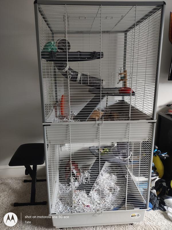 Two level ferret clearance cage