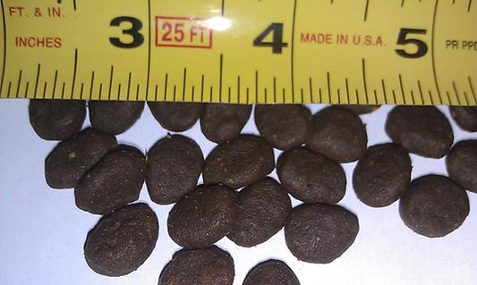 Kibble Size