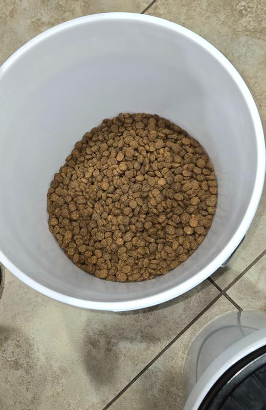 13 lb bag of dog food