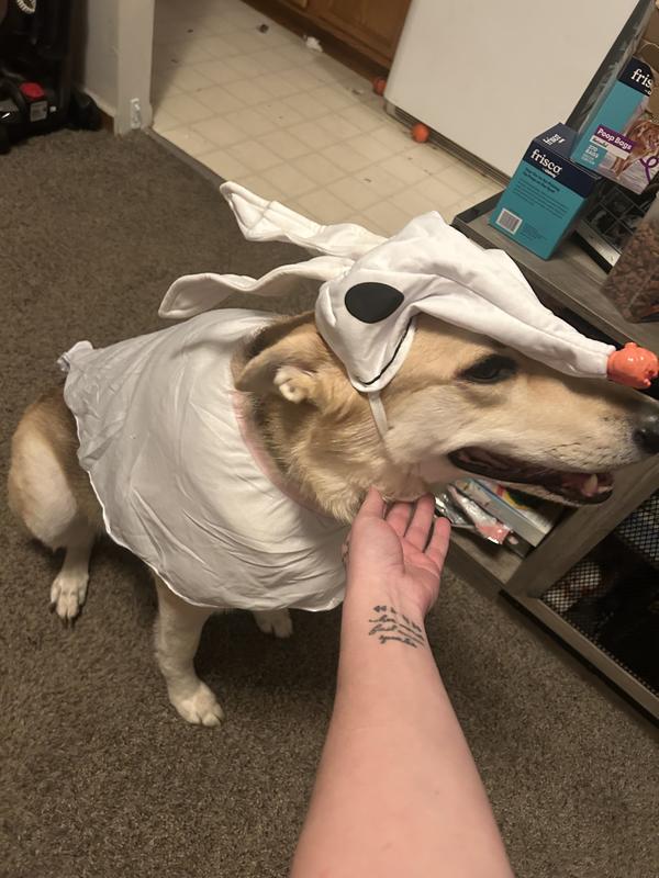 The cape is super thin I bet it was less than two dollars to make.