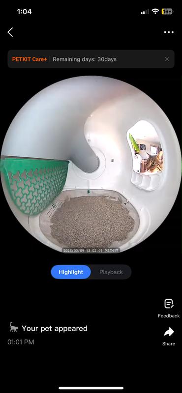 My cat Freyja checking out the finished product