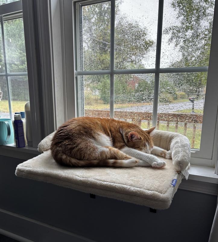 Lionto Window Lounger For Cats – Padded Plush Cat Bed For Window Sills, No Drilling, Holds Up To 15kg 6 thumbnail image