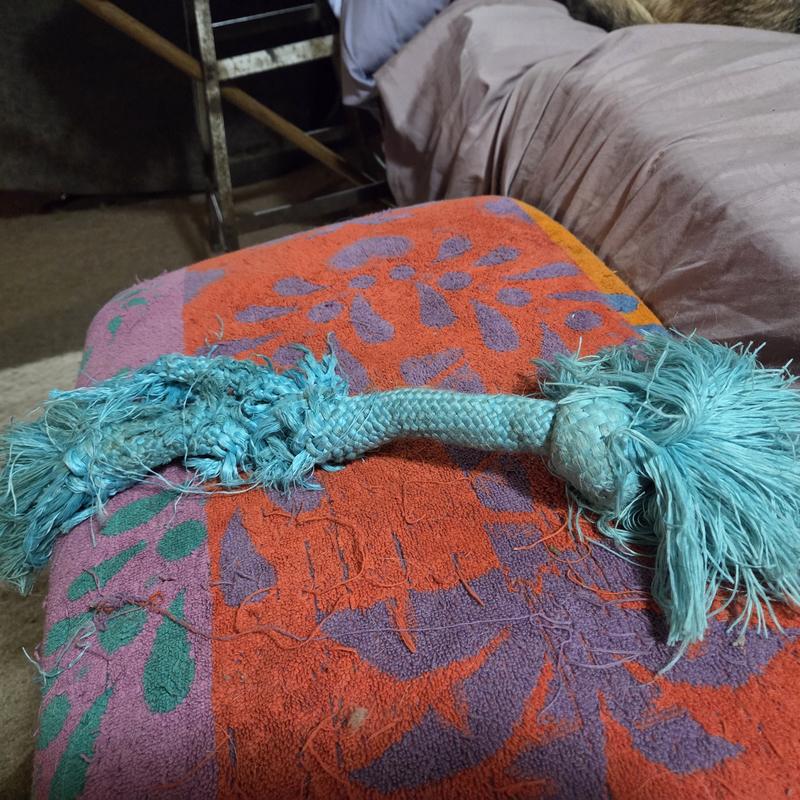 was hoping for longer play time