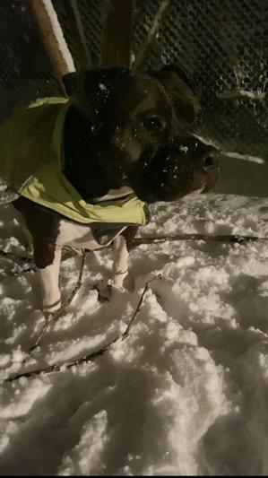 Loving the snow and jacket