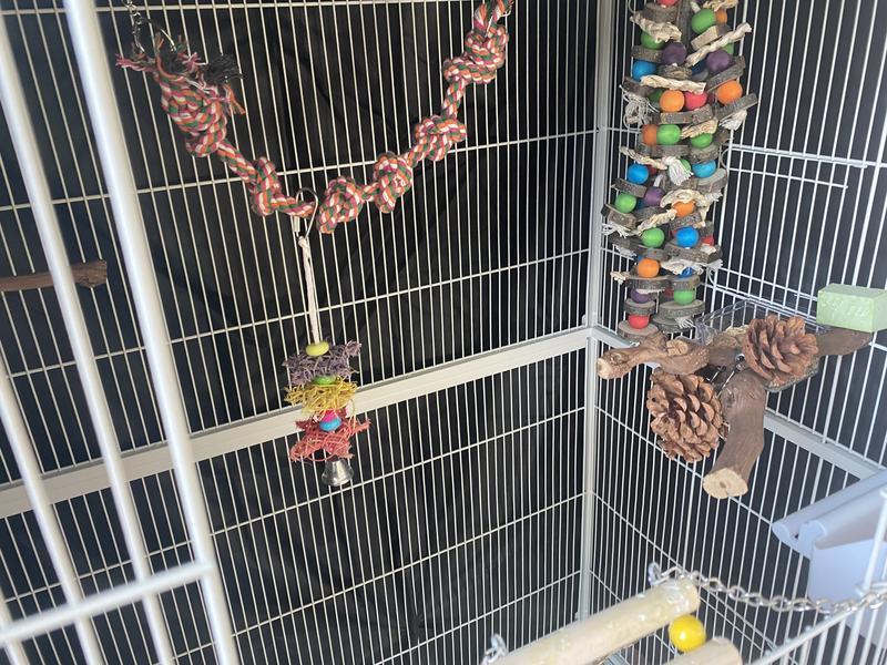 Plenty of room for toys and flight!