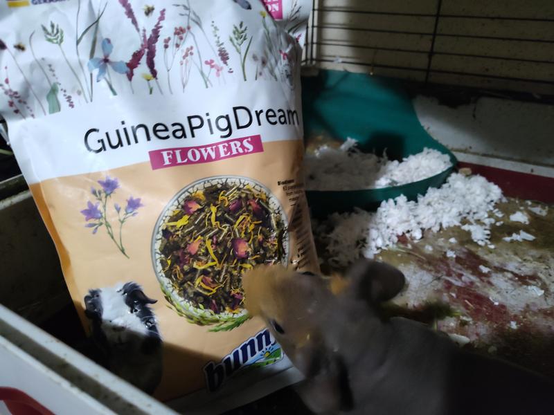 He likes the picture and wanted to keep the flowers - not eat them