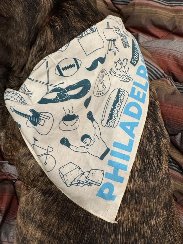 Close-up of the bandanna