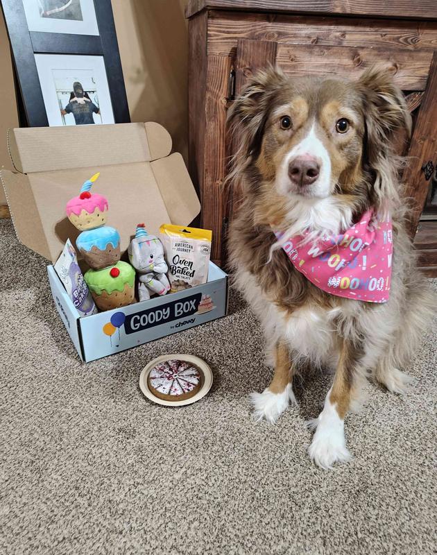 Chewy birthday box sale