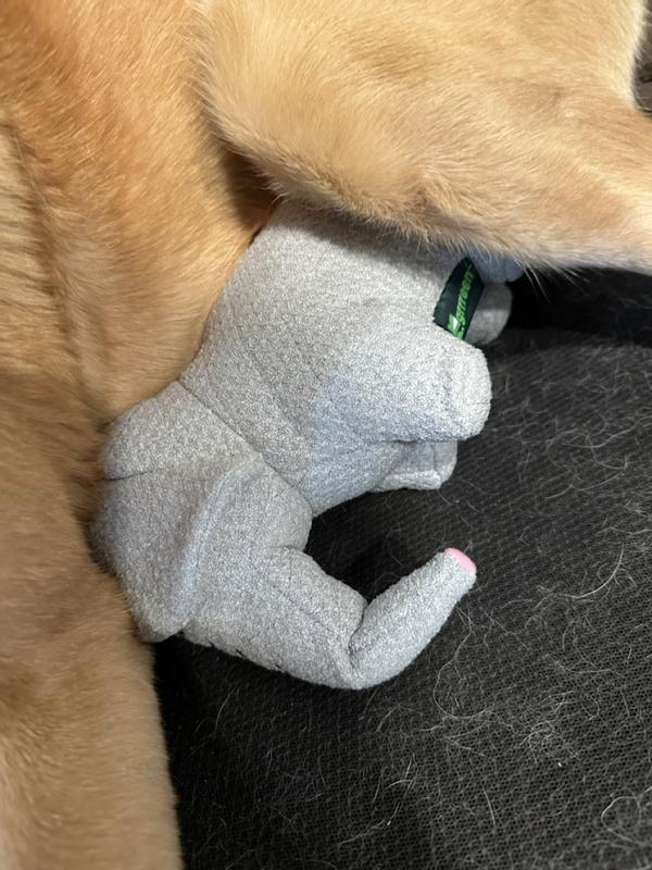 I had to wait until nap time to take this picture—blink and you’d miss him any other time.