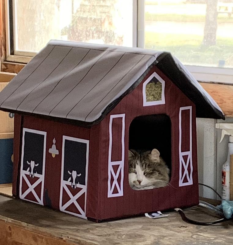 Heated Insulated Cat House