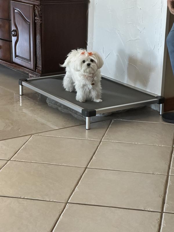 Out of Stock - FXW TitanNest Padded Chew-Proof Elevated Dog Bed