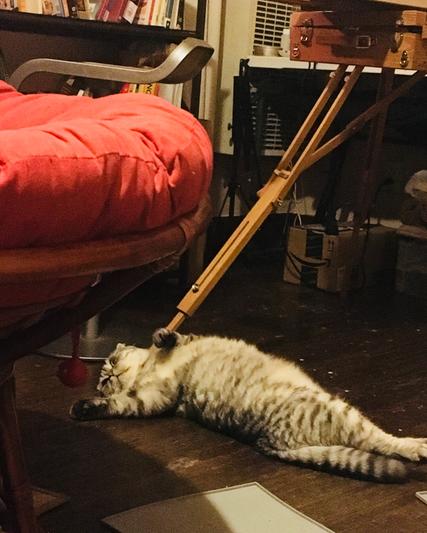 Relaxing after dinner