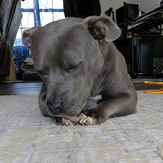 Making sure there's nothing left