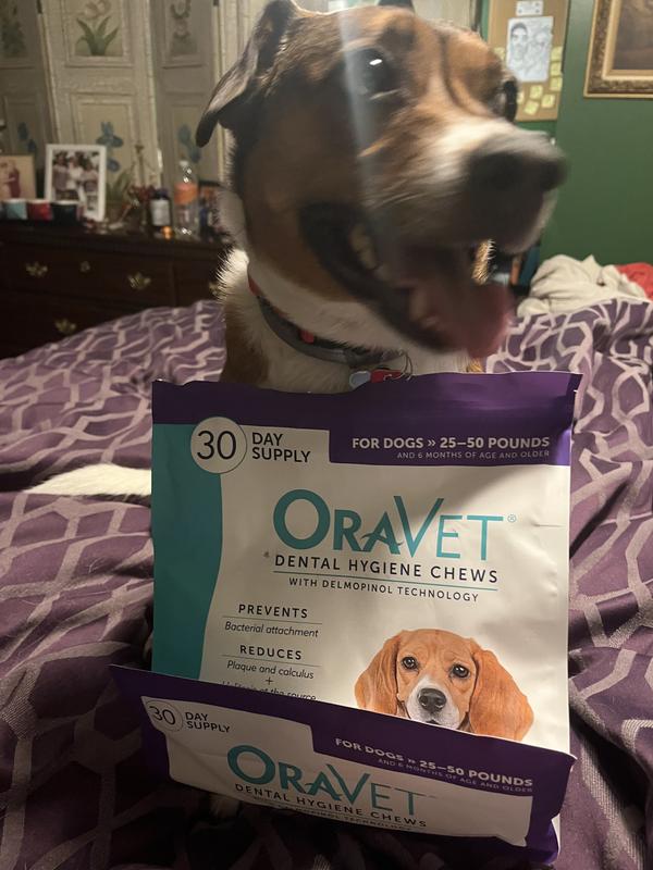 Plaque Oravet Dental Chews Large Dogs Dog Chews For Large Dogs