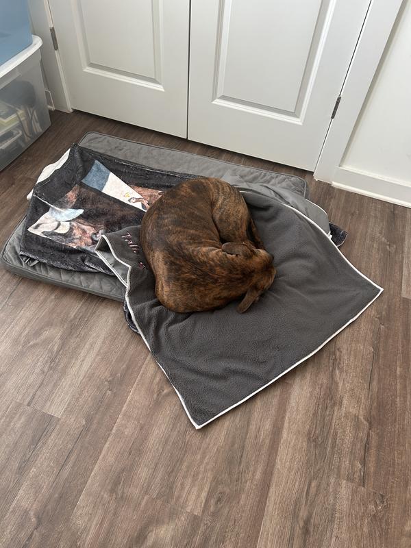 By beautiful Talia loving her blanket