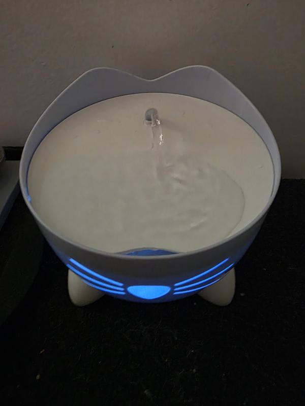 Fountain lights are a soft nightlight. Not too bright but enough so your pets can find it and you know when to refill.