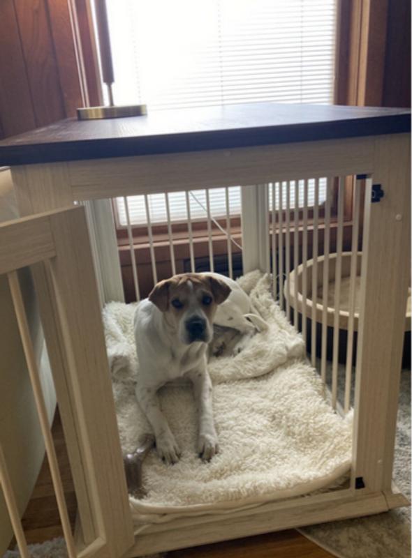 FRISCO Broadway Dog Crate End Table, Antique White