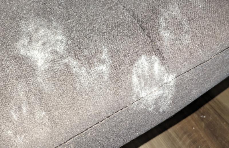 CATALYST PET Healthy Formula Cat Litter, 20lb bag