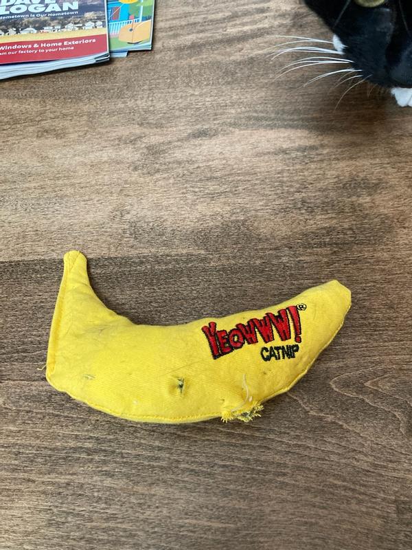 catnip banana