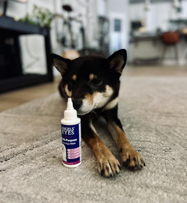 Angels' Eyes Hawaiian Waterfall 2-in-1 Conditioning Dog Shampoo