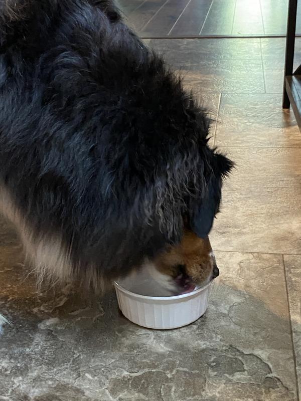 A great topping for my pup's kibble!