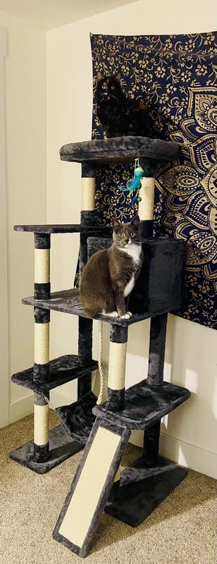 Waiting patiently for their catnip😂🙌🏻