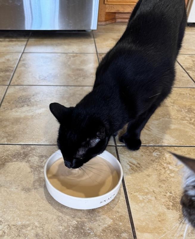 Binx also likes the milk!