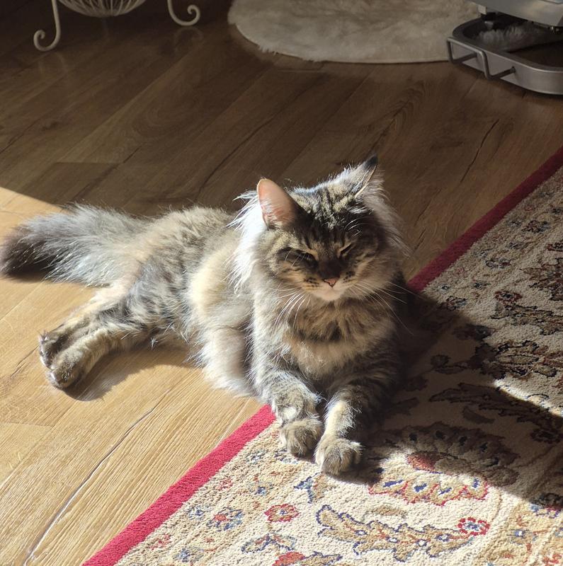 She is feeling her best now!