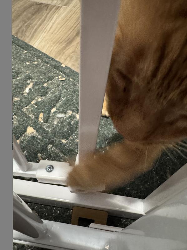 Orangeade is smarter than the engineer