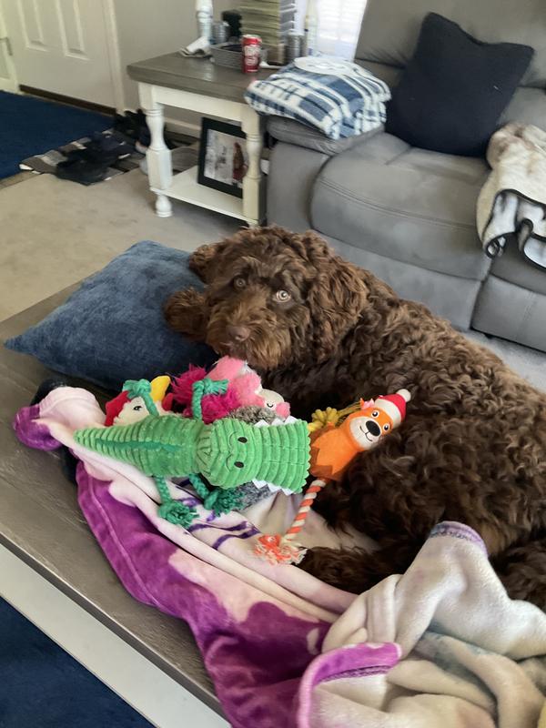 Max and his squirrel!