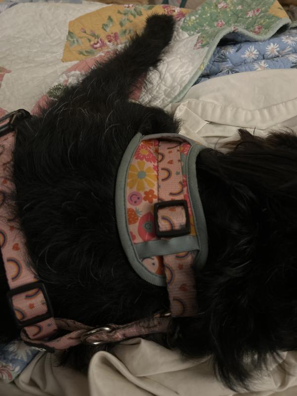 This is how it is supposed to be.