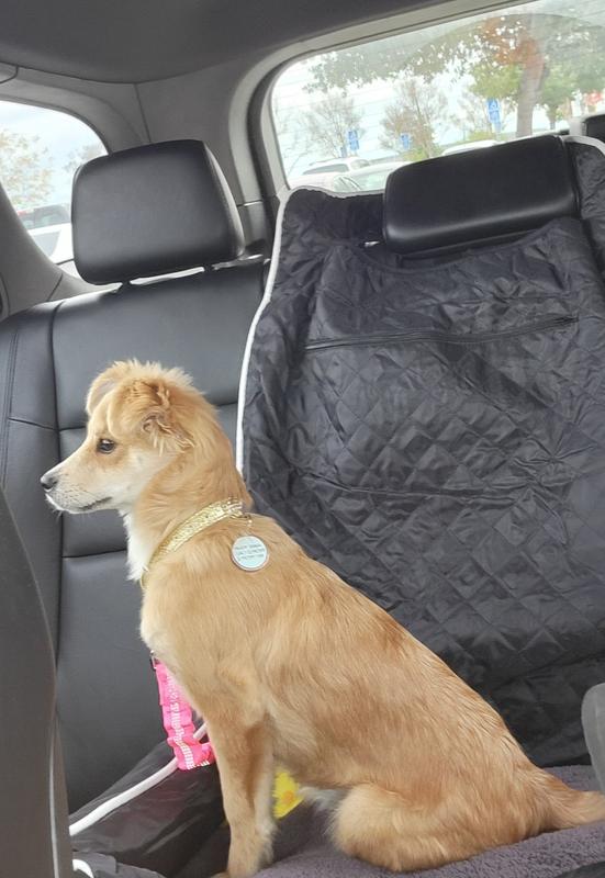 SEAT ARMOUR Petbed2Go Pet Bed & Car Seat Cover, Grey, Small