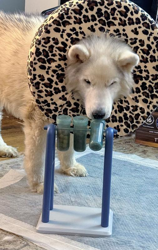 Emmy's first moments exploring the Mad Scientist toy.