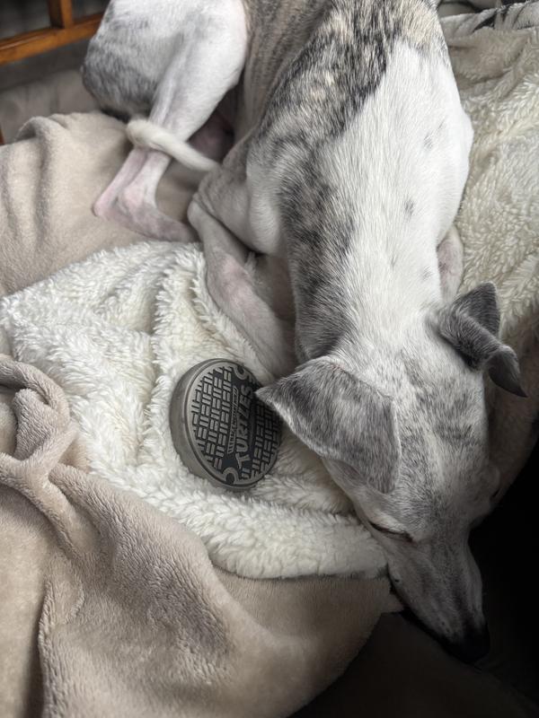 Sleeping with my new toy