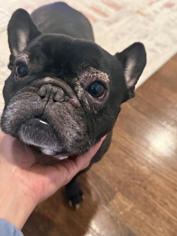 How he was when we starts the treatment