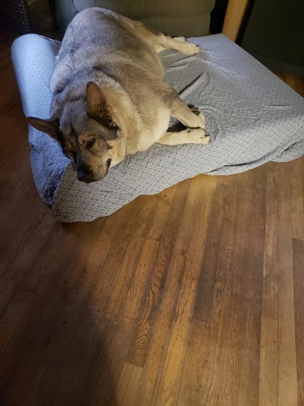 BIG BARKER 7" Headrest Orthopedic Pillow Dog Bed with Removable Cover