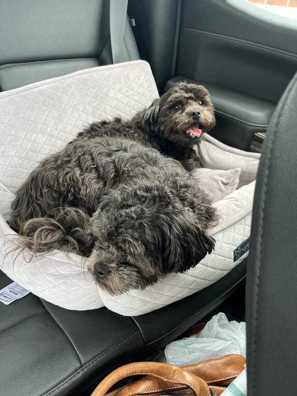 I bought the biggest size and it fits both my boys. As you can see my boys aren’t very big but they love being together and cuddling.