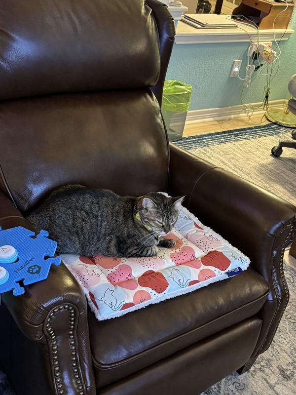 Caper enjoying the mat on this chilly December night