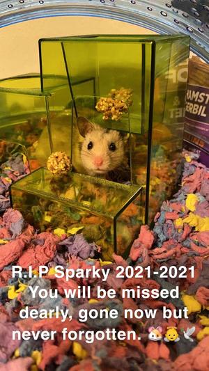 I am going miss you little buddy.