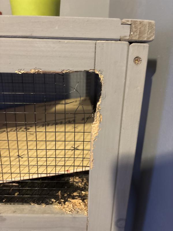 The hole they chew on it.