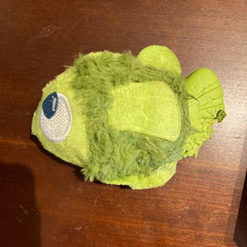 Poor BARK Drop The Bass, its fin got eaten by a ferocious land shark doggie