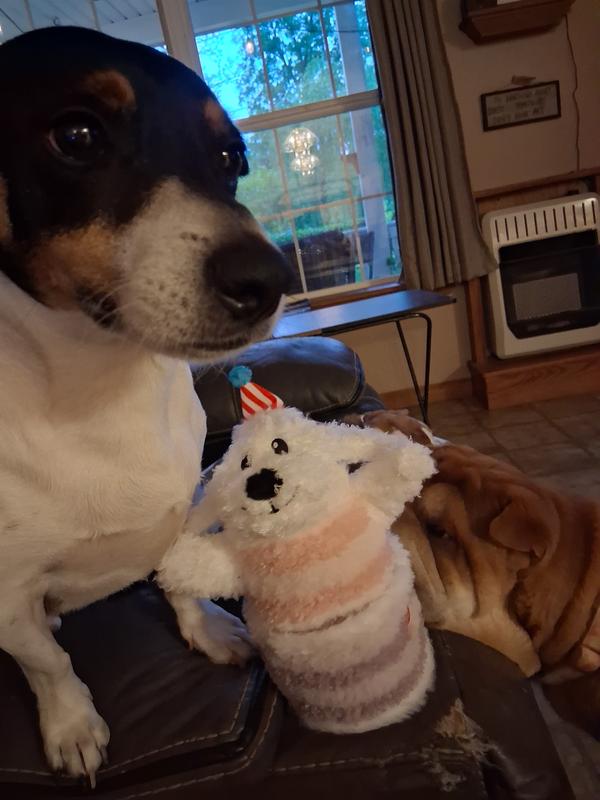 Two of them approve!!